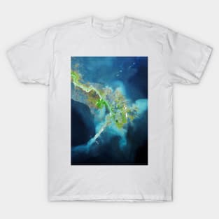 Mississippi Delta, satellite image (C007/1232) T-Shirt